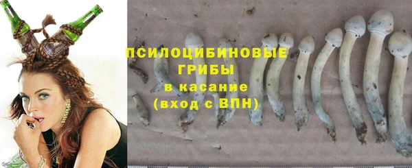 стаф Карталы