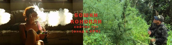 стаф Карталы