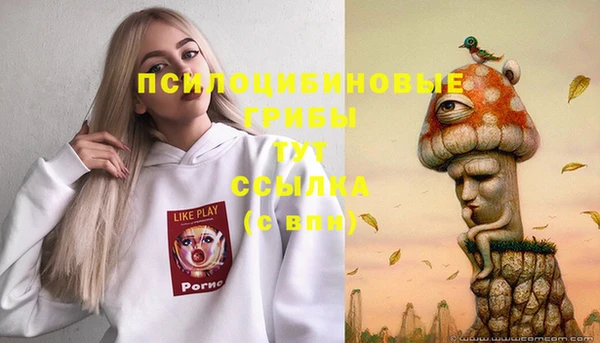 не бодяженный Касимов