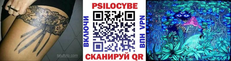 Купить  Вятские Поляны  Галлюциногенные грибы GOLDEN TEACHER 