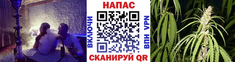 Бошки Шишки THC 21%  Купить  Вятские Поляны 